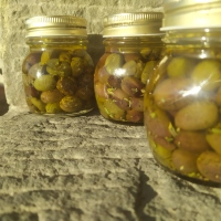 olive schiacciate alla cilentana
